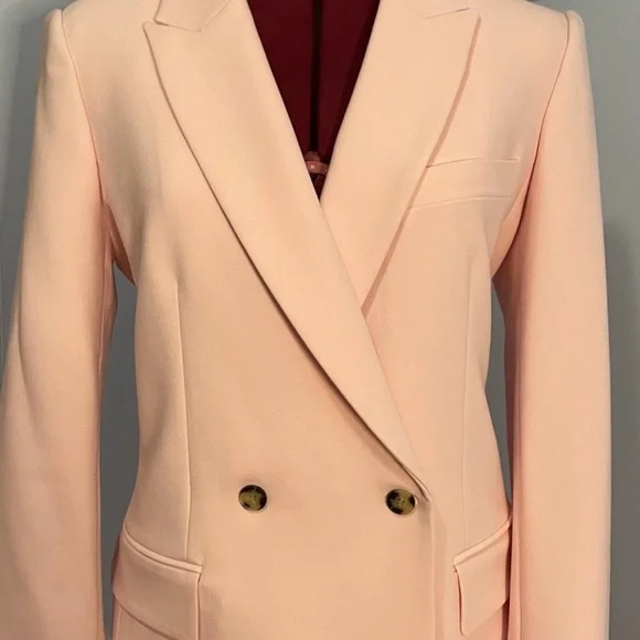 Club Monaco Light Pink Blazer - Picture 6 of 9